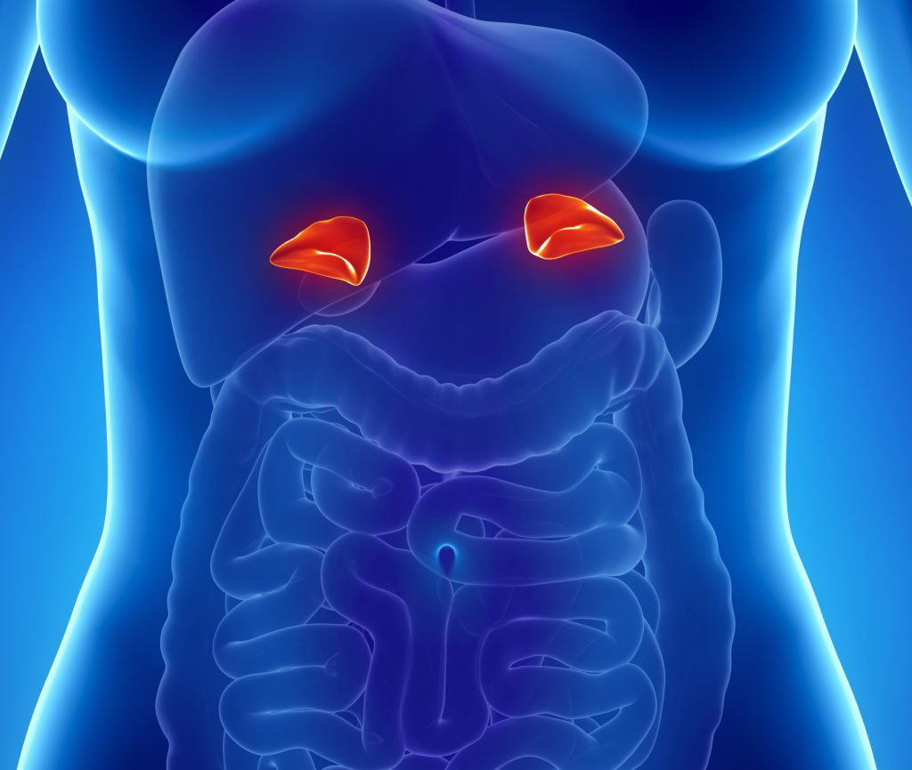 Diseases of the adrenal glands types and causes